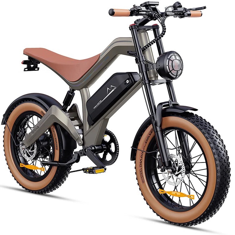 Zonveer M20 All-Terrain Long-Range Electric Bike